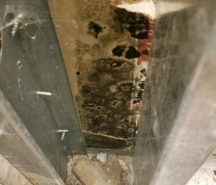 Mold damage in commercial building