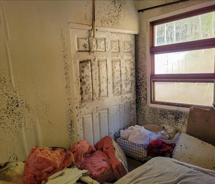 Bedroom with mold damage
