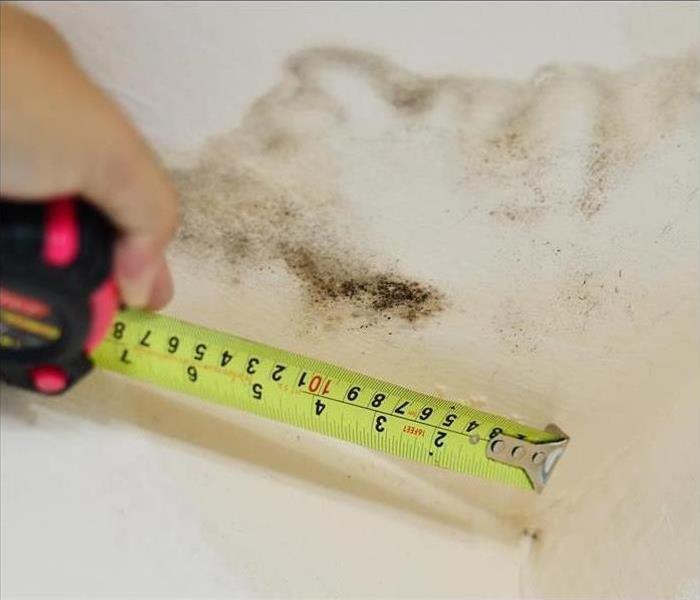 mold growth on wall, measuring mold with tape measure